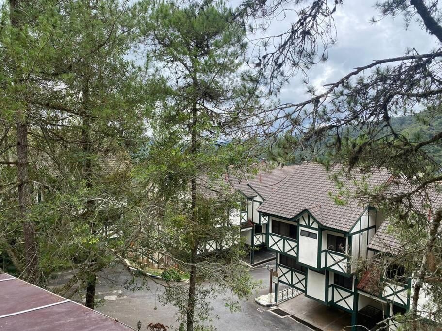 Two-Bedroom Apartment with Mountain View