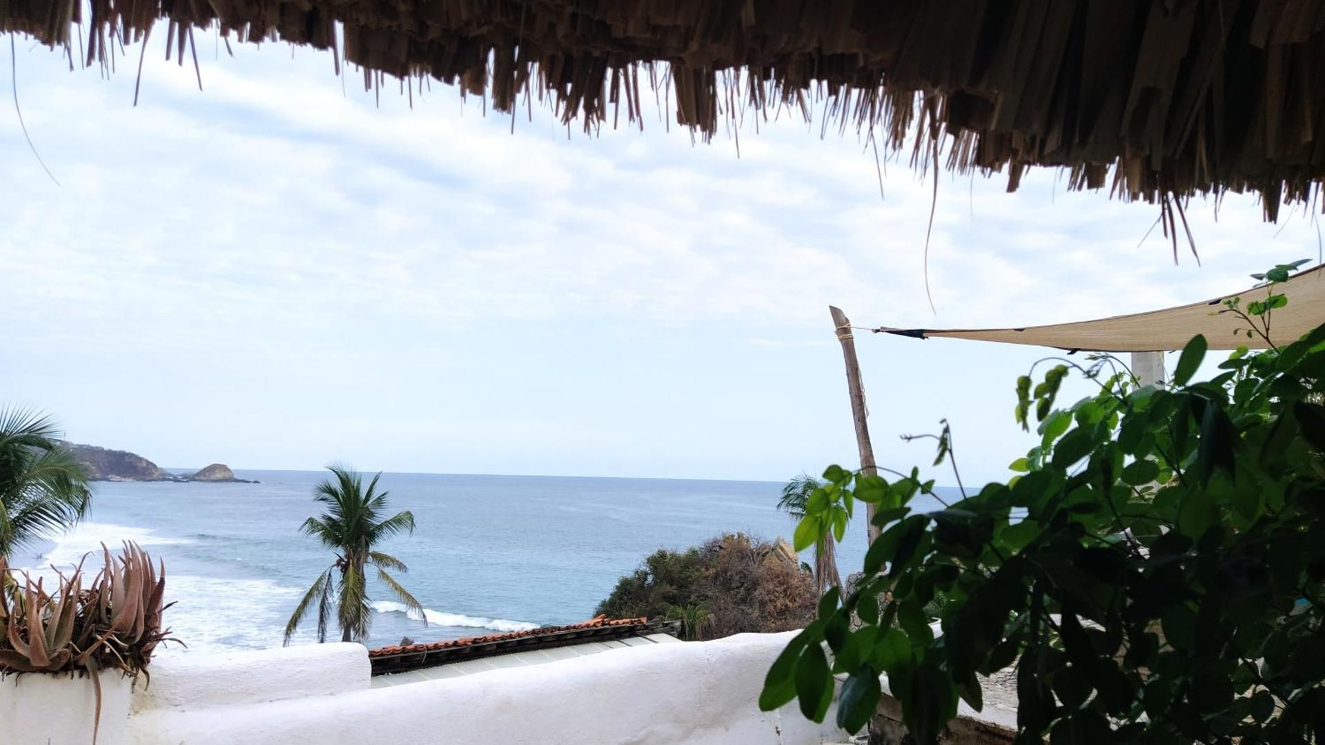 Standard Single Room with Sea View