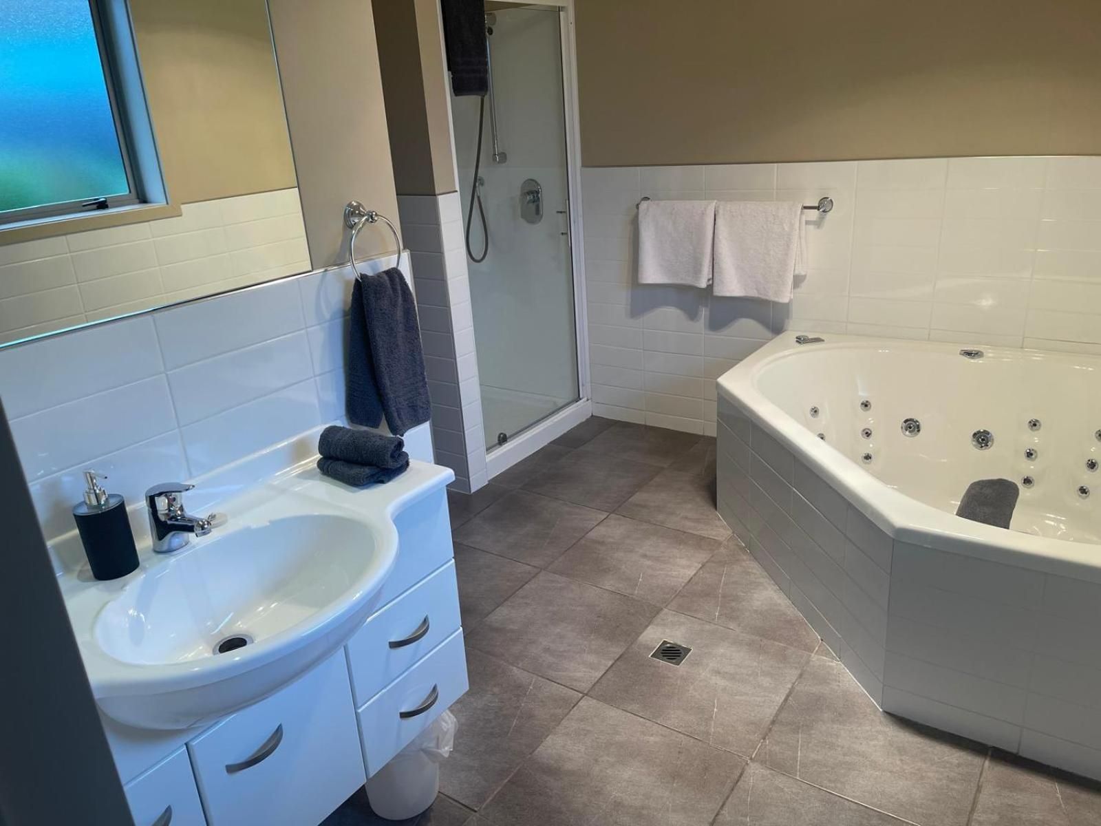 Deluxe One-Bedroom Apartment