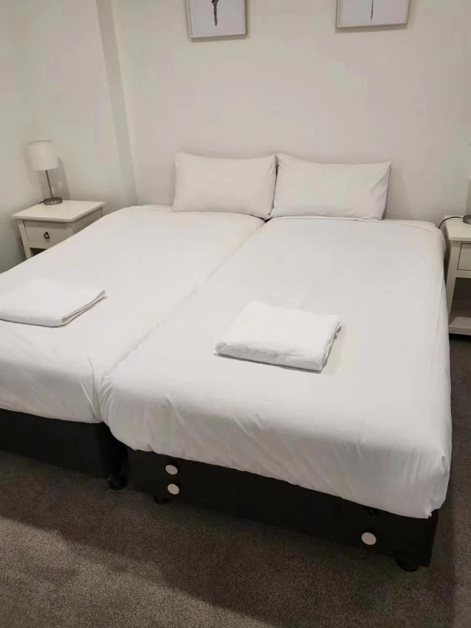Two-Bedroom Apartment with Park View (2)