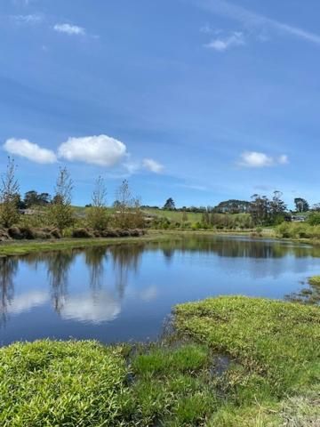 Lifestyle Guesthouse