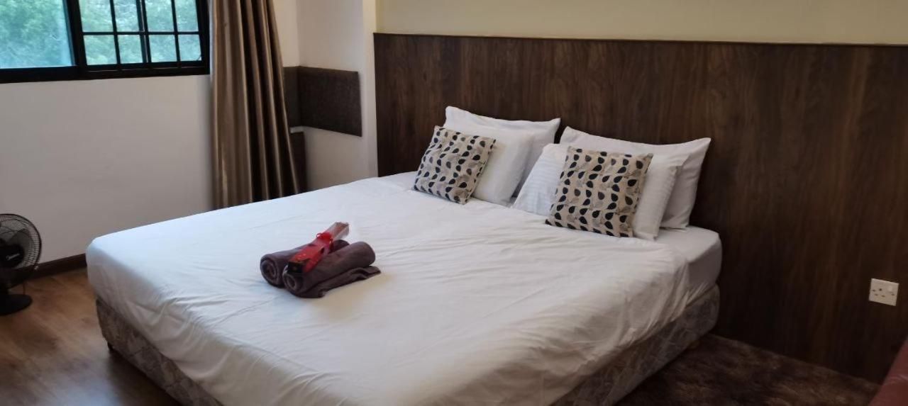 Studio with Mountain View