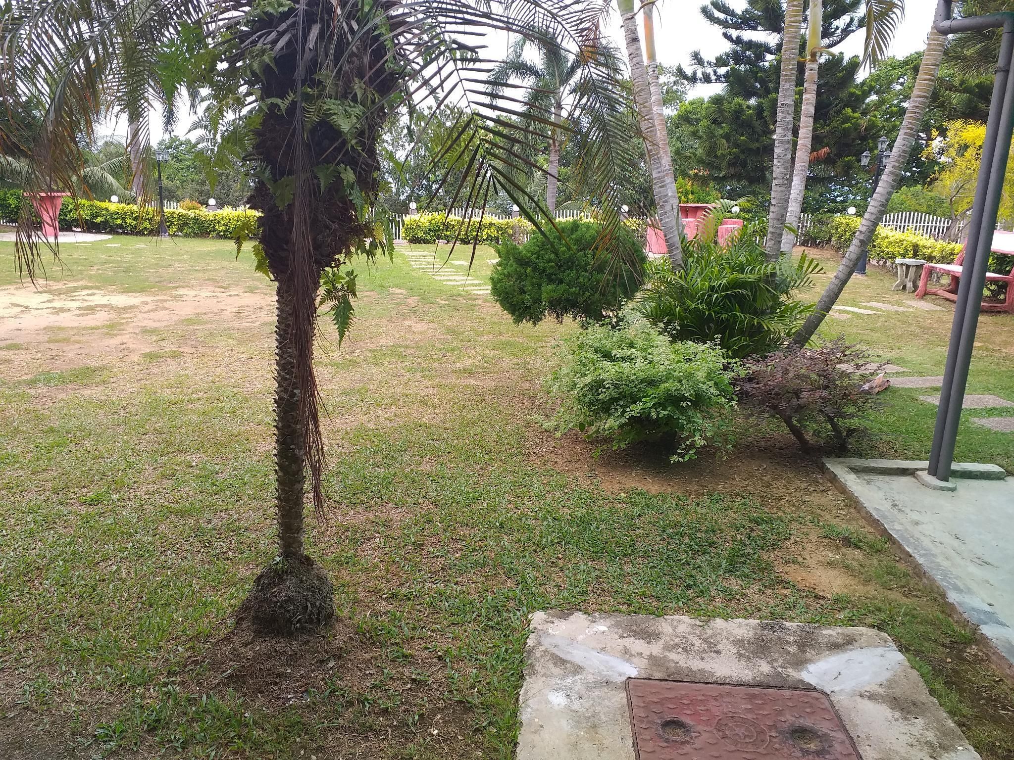 surrounding environment