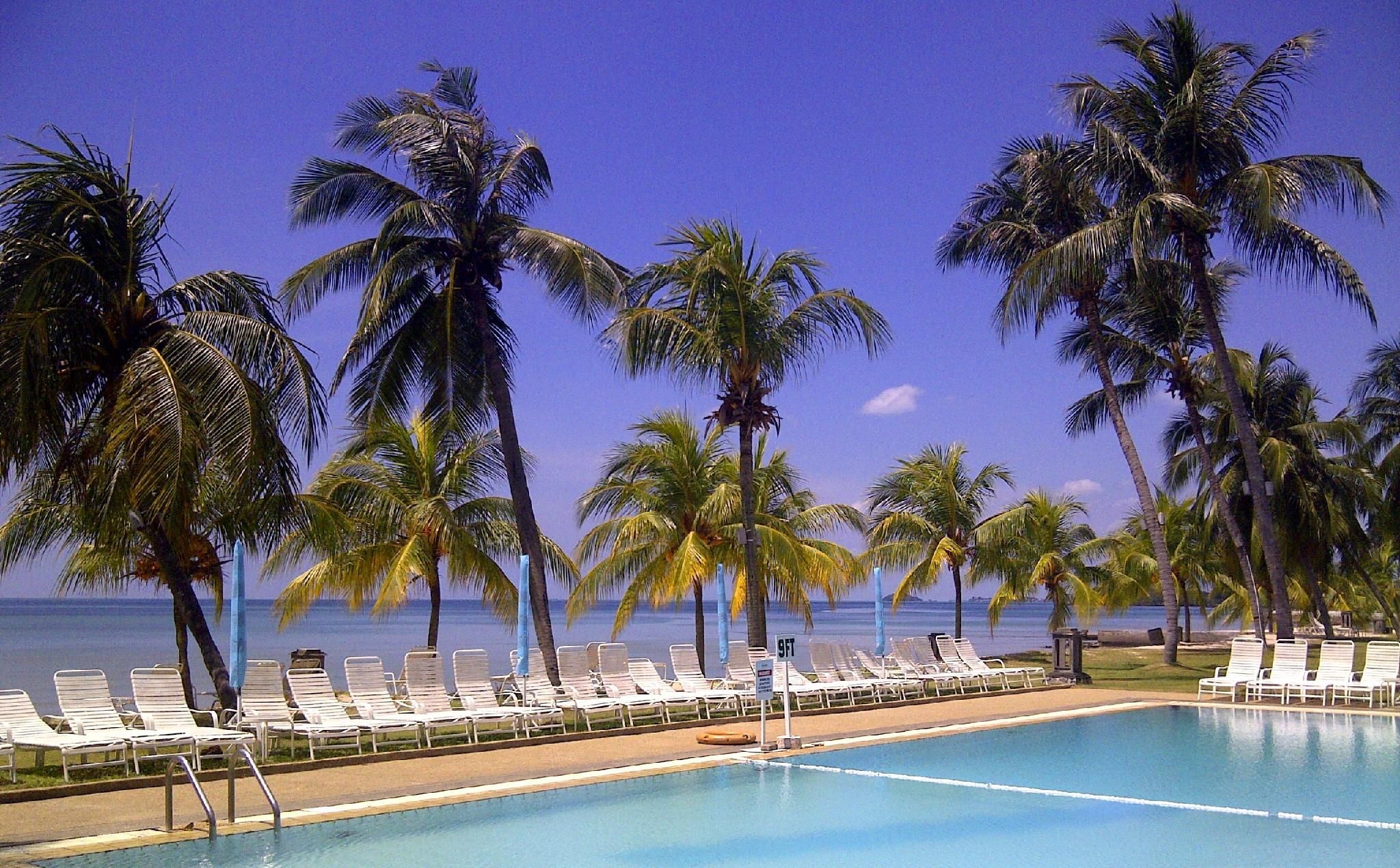 swimming pool [outdoor]