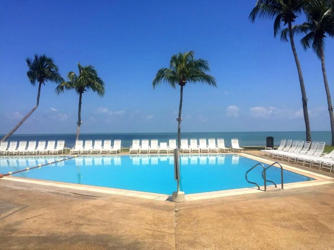 swimming pool [outdoor]