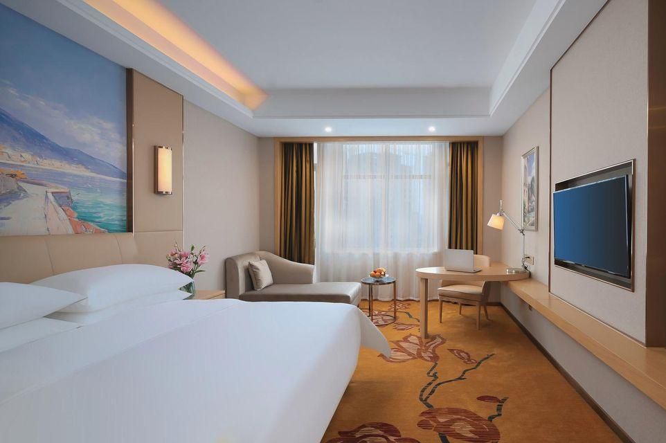 Vienna - Executive Room for 2 Guests