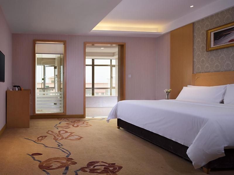 Vienna - Standard 1 Bed Room