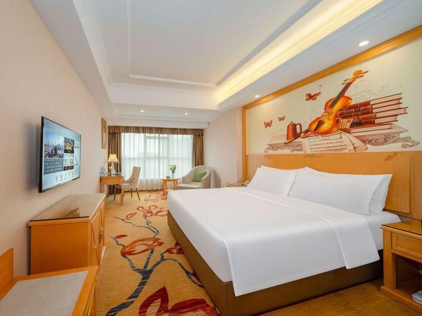 Vienna - Standard Single Room
