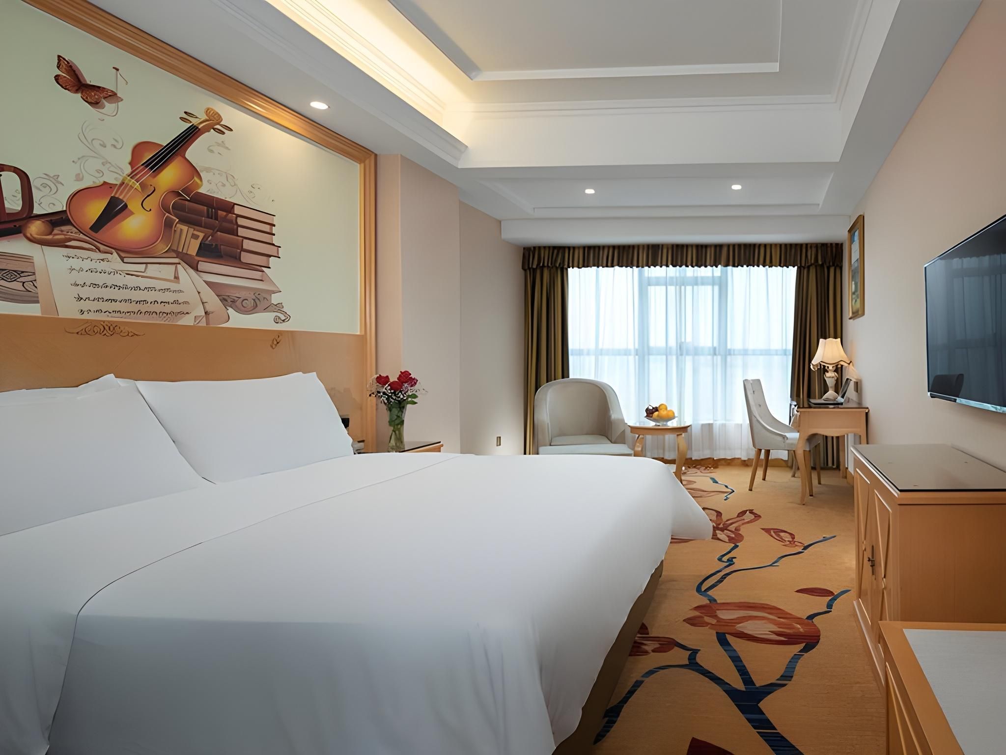 Vienna - Standard Single Room