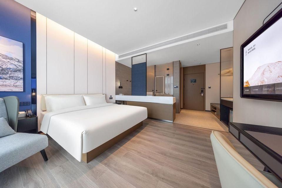 Executive room, Guest room, 1 Queen