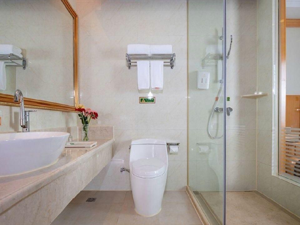 Vienna - Deluxe King Bed Room