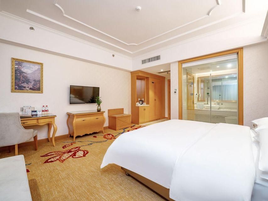 Vienna - Deluxe Room