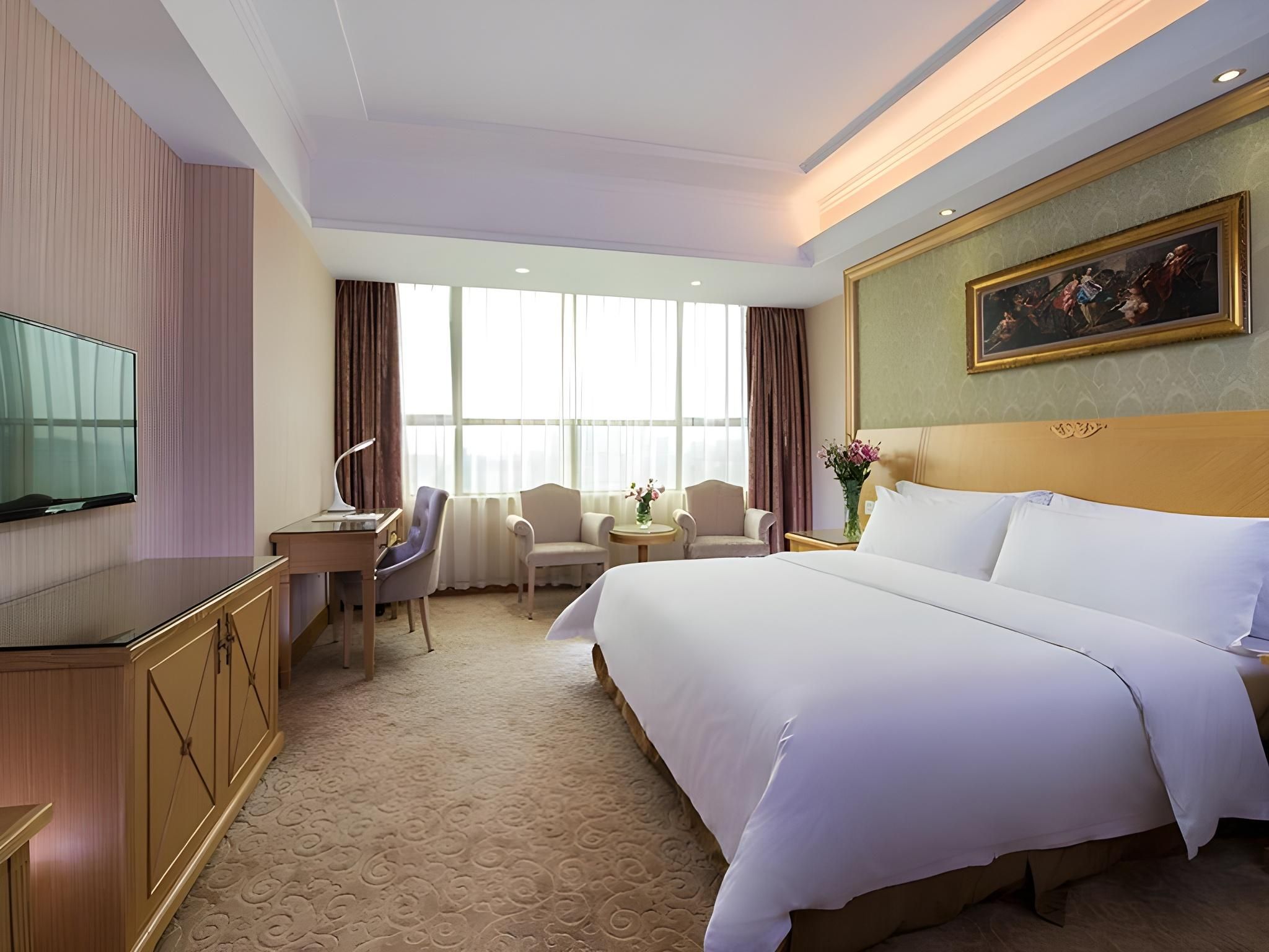 Vienna - Deluxe Room