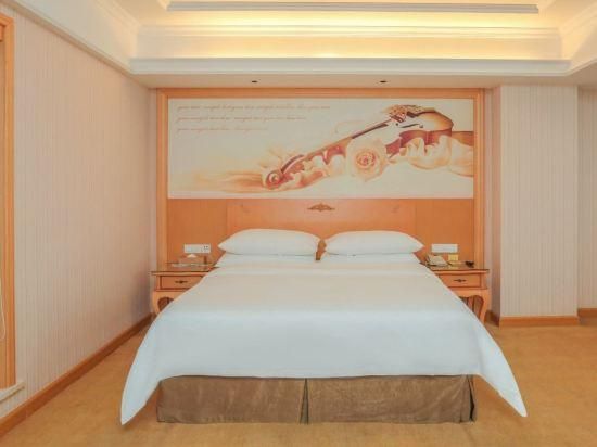 vienna - functional chess suite room