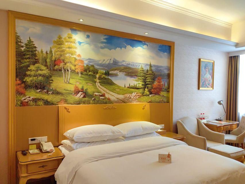Vienna - Deluxe Room