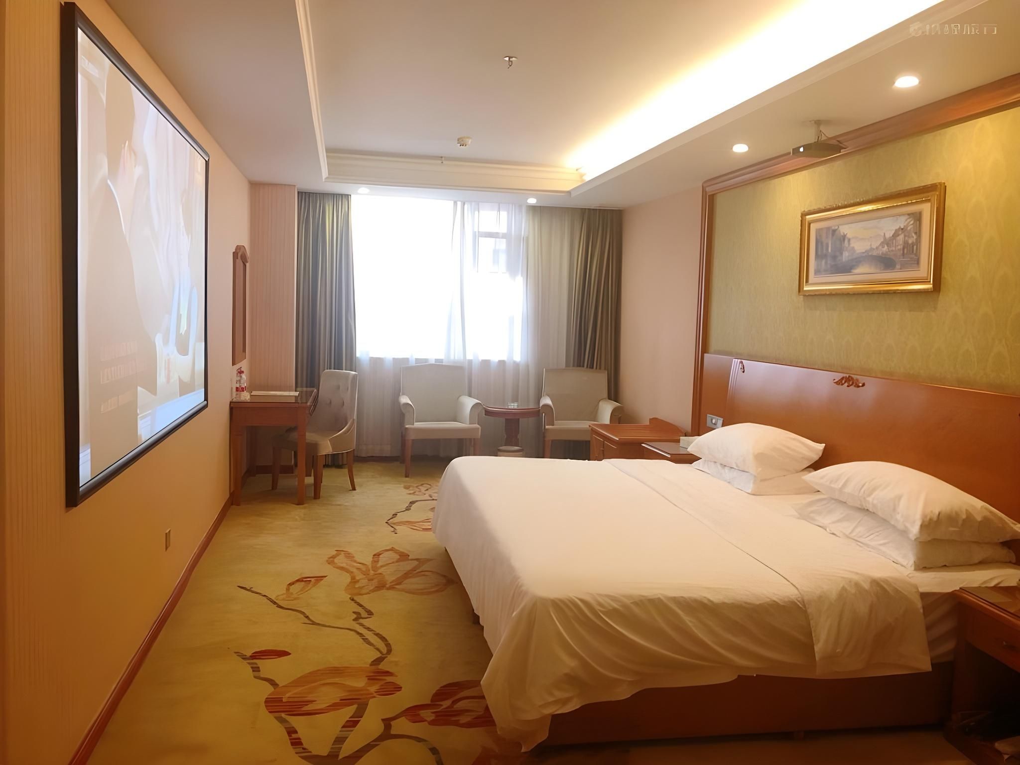 Vienna - Cinema Bed Room