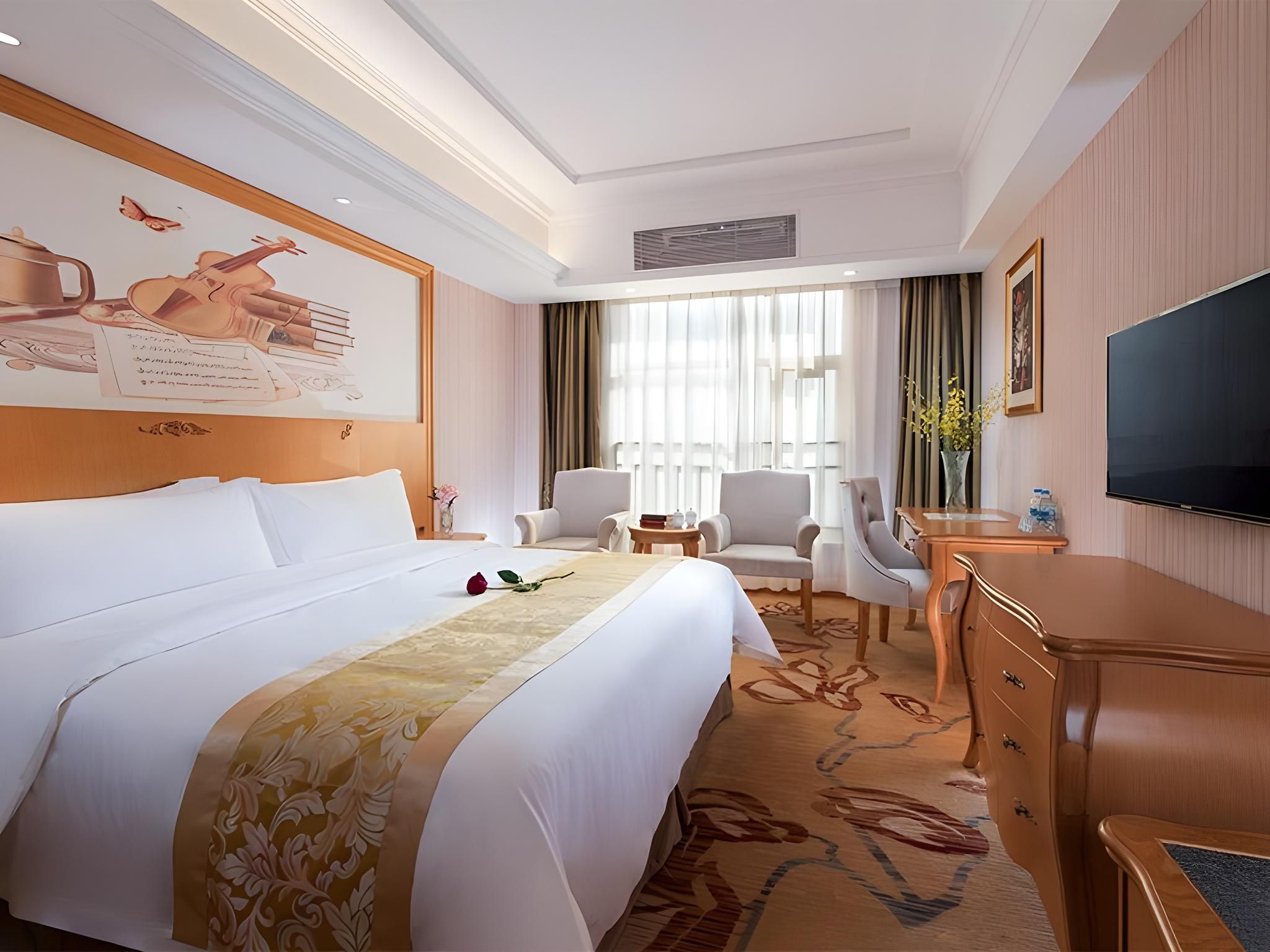 Vienna - Deluxe Room