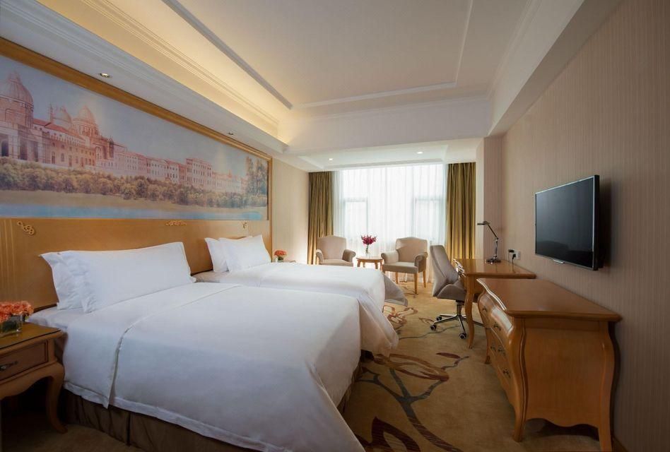 Vienna - Deluxe Room