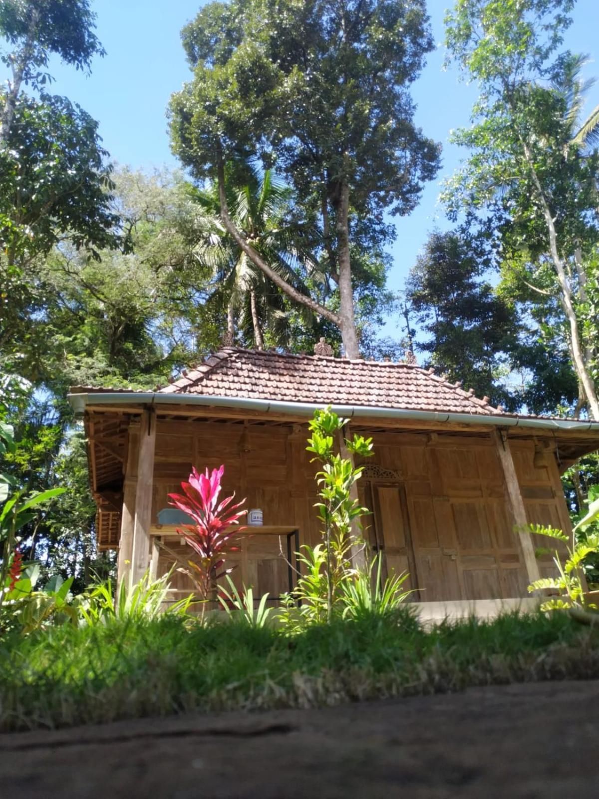 omah kayu jagalan