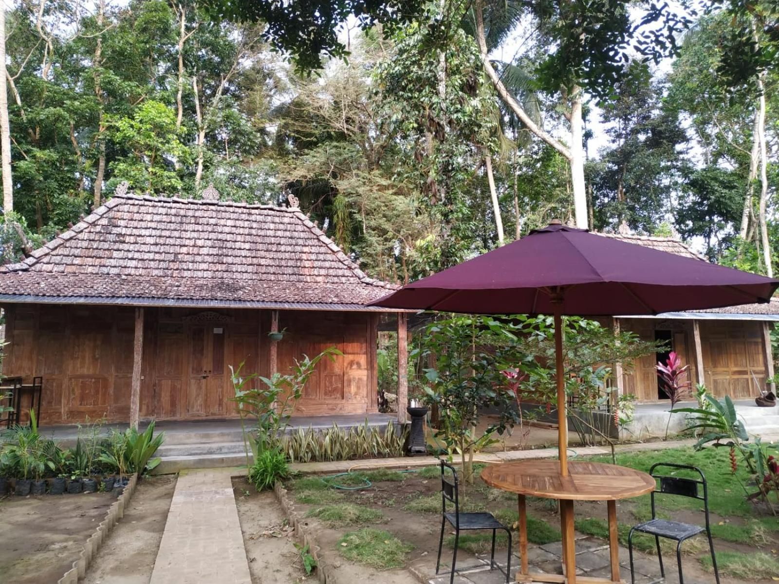 omah kayu jagalan