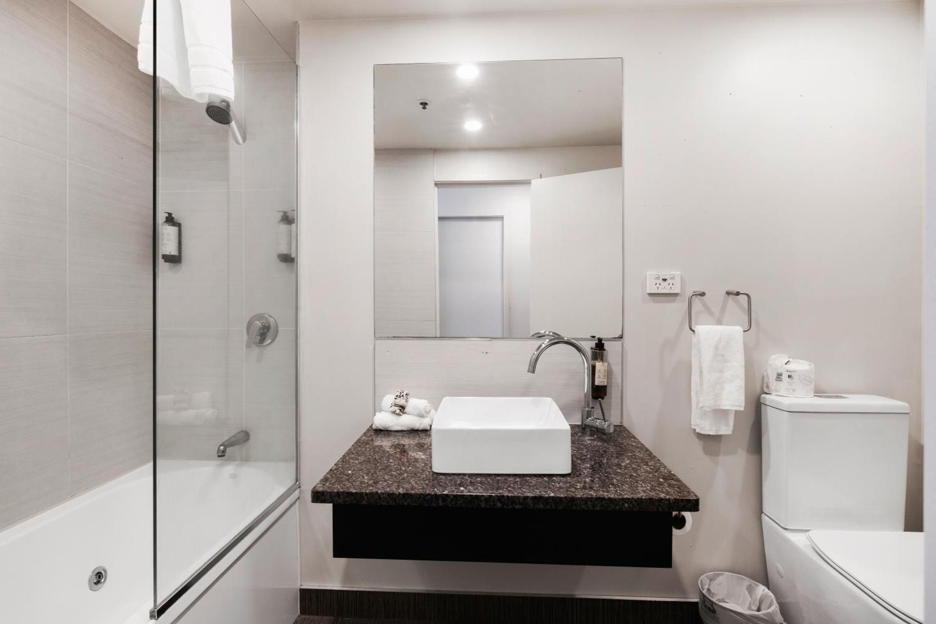 Deluxe One-Bedroom Apartment