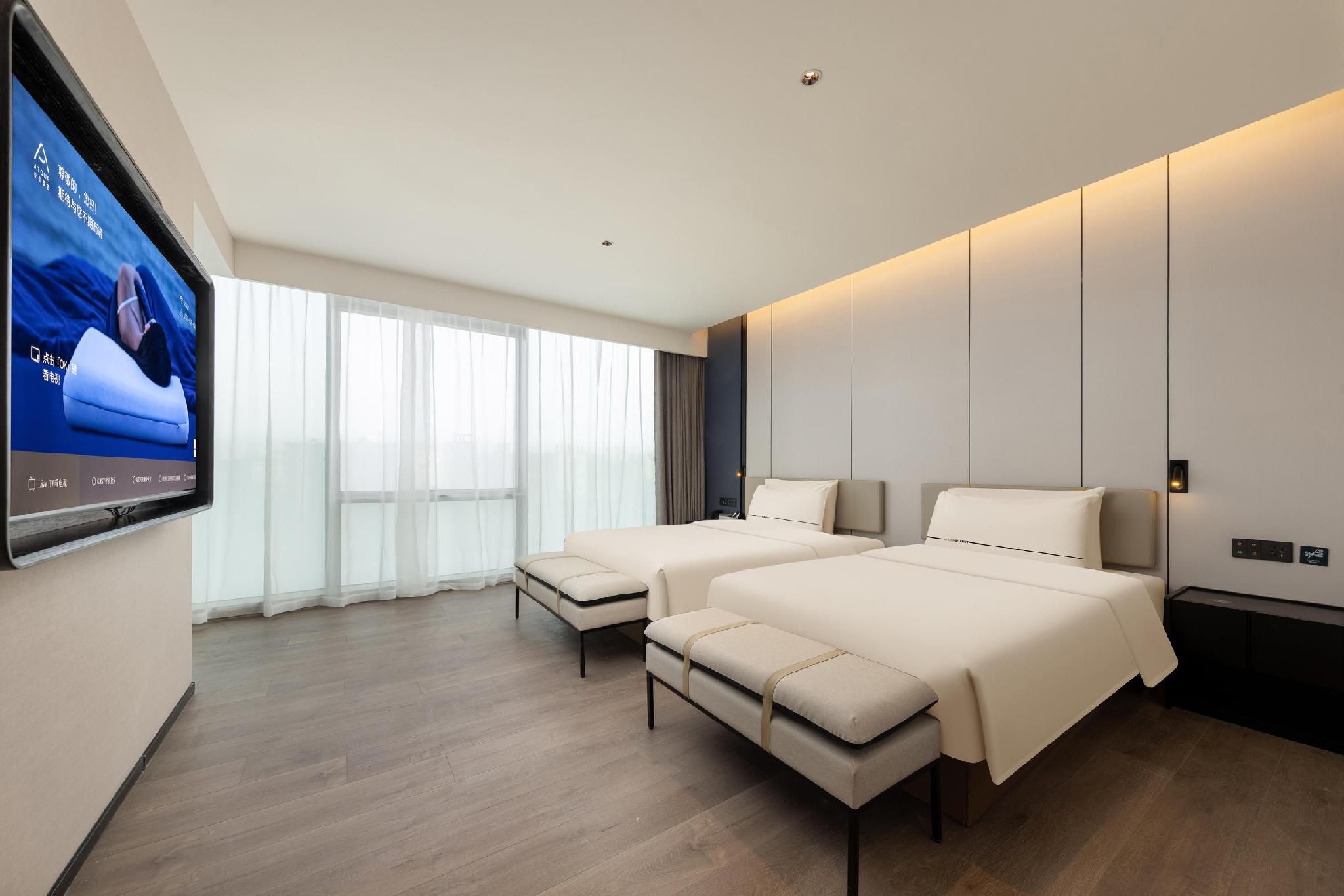 Twin Executive Room