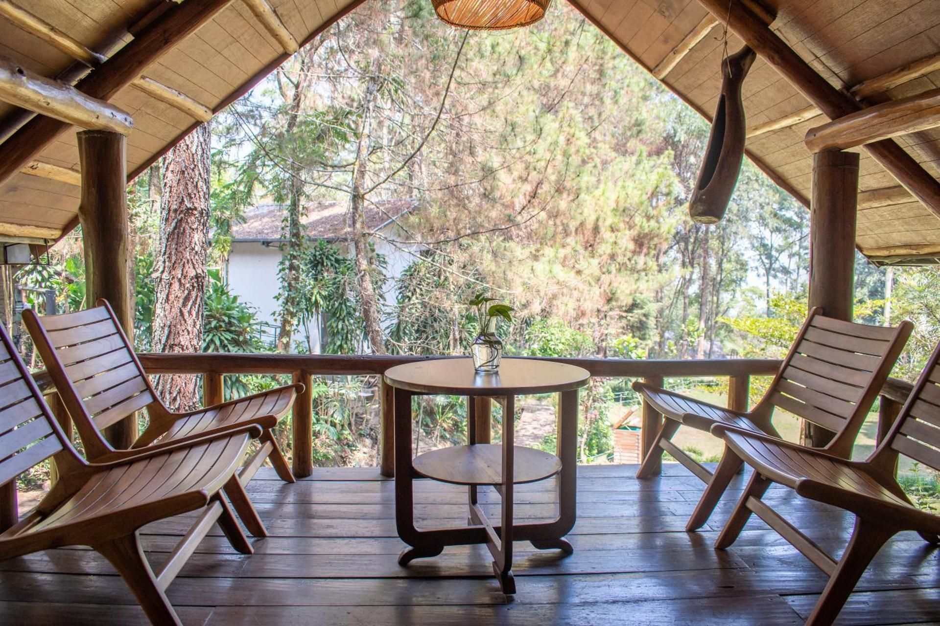 Pinus Villa