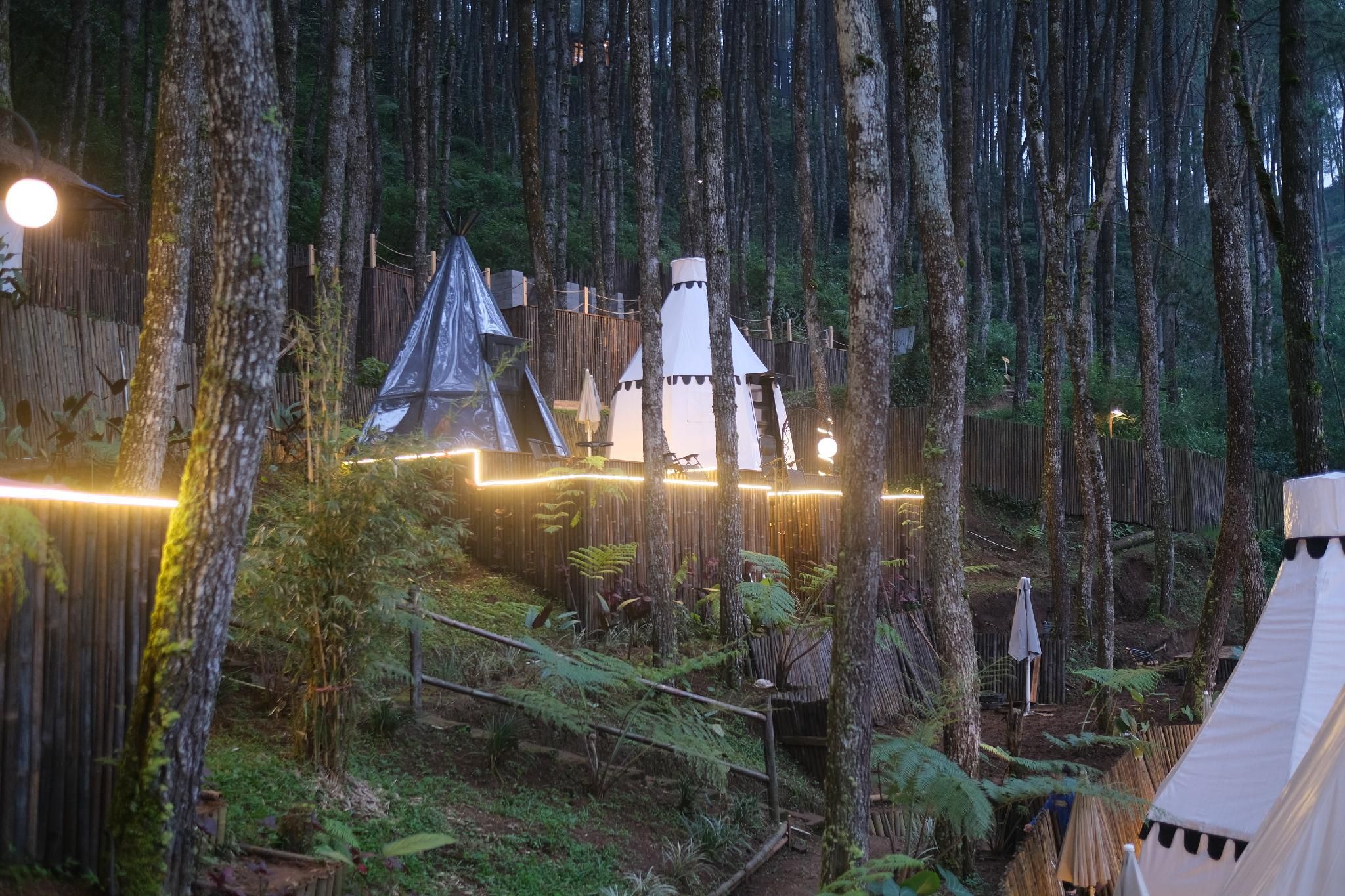 Camp Double Room