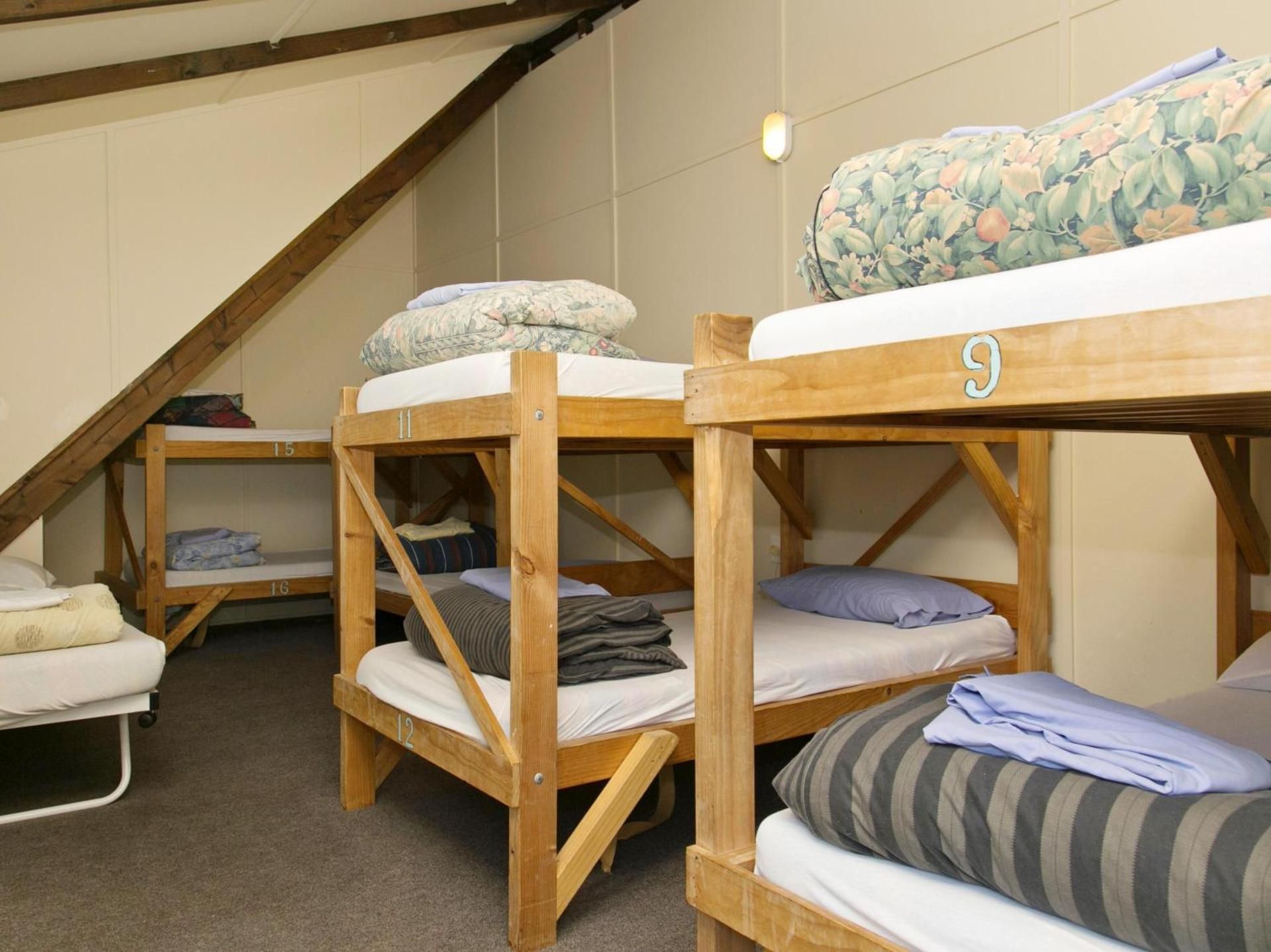 Bed in 8-Bed Mixed Dormitory Room