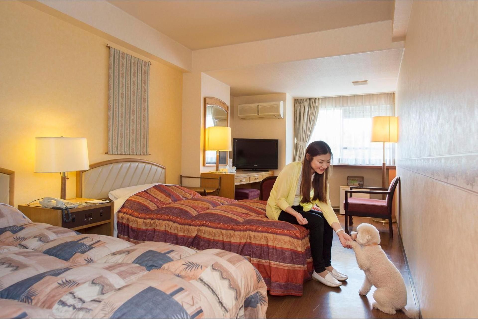 Standard Twin Room