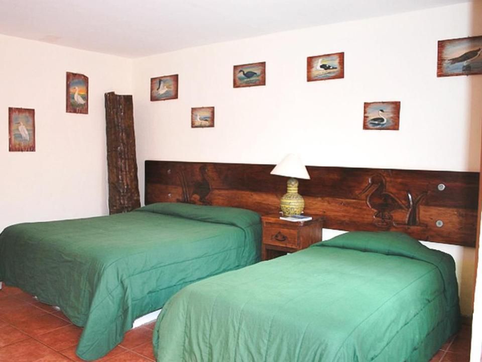 Basic Triple Room