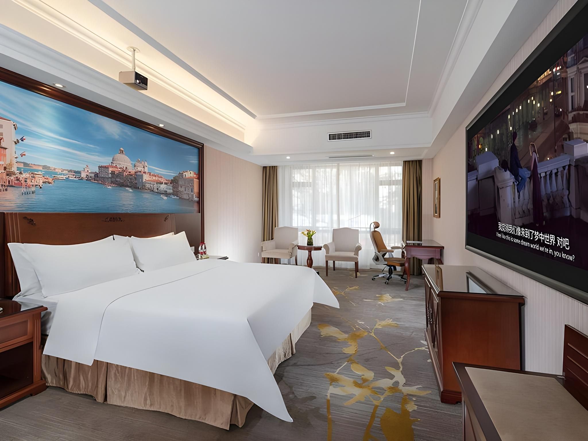 Vienna - Cinema Bed Room
