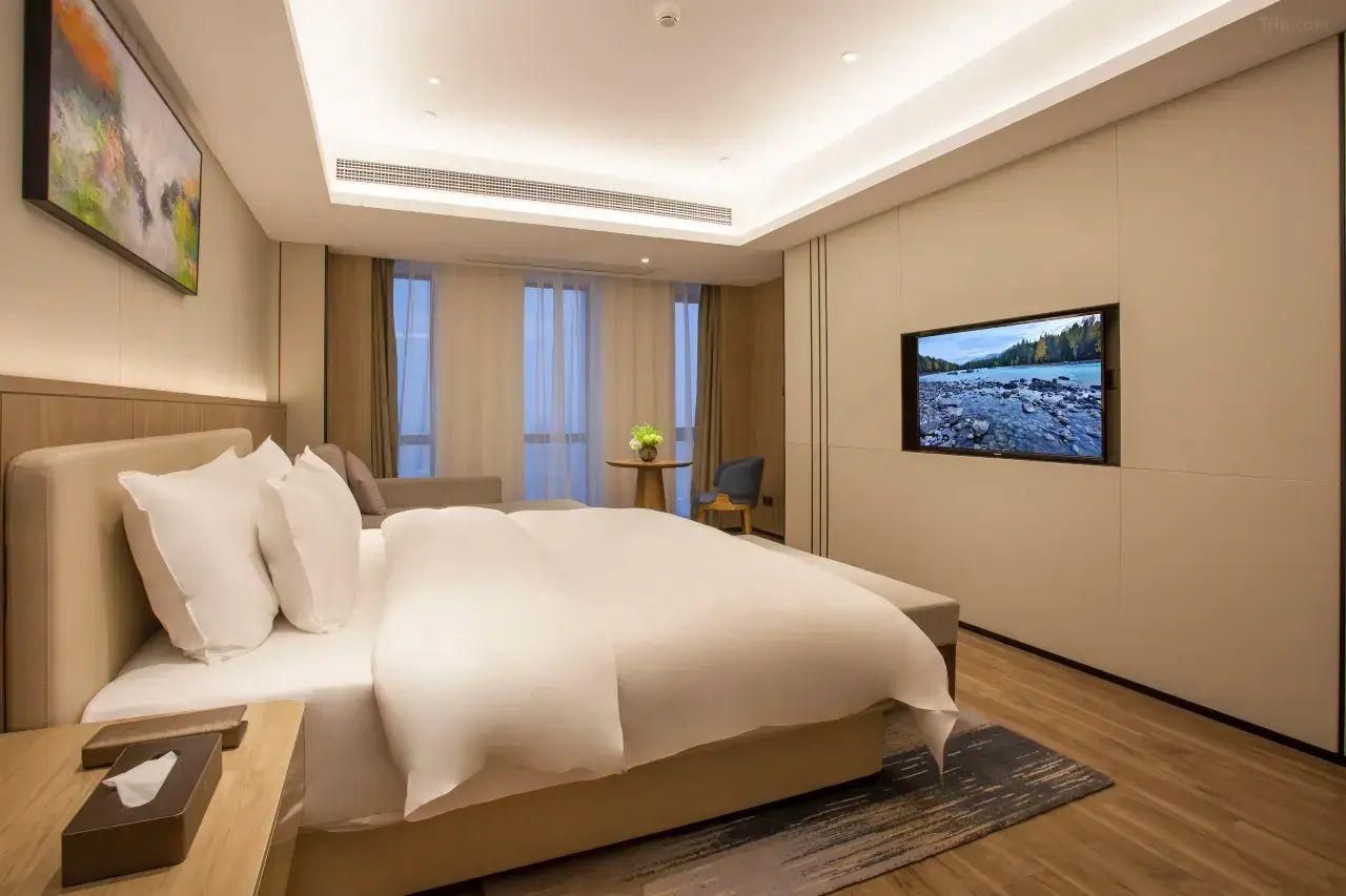 Premium Room B