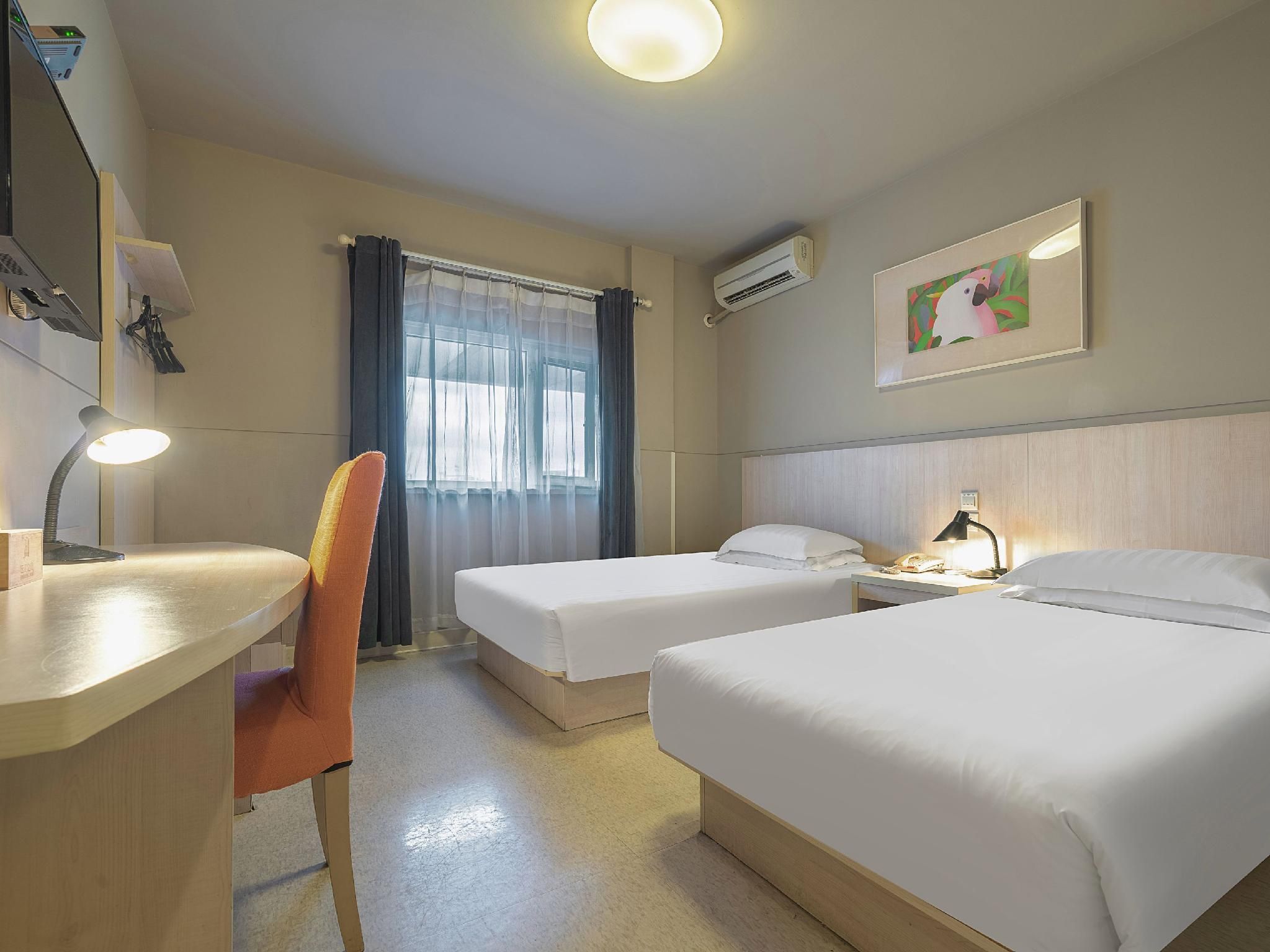 Twin Bed Standard Room