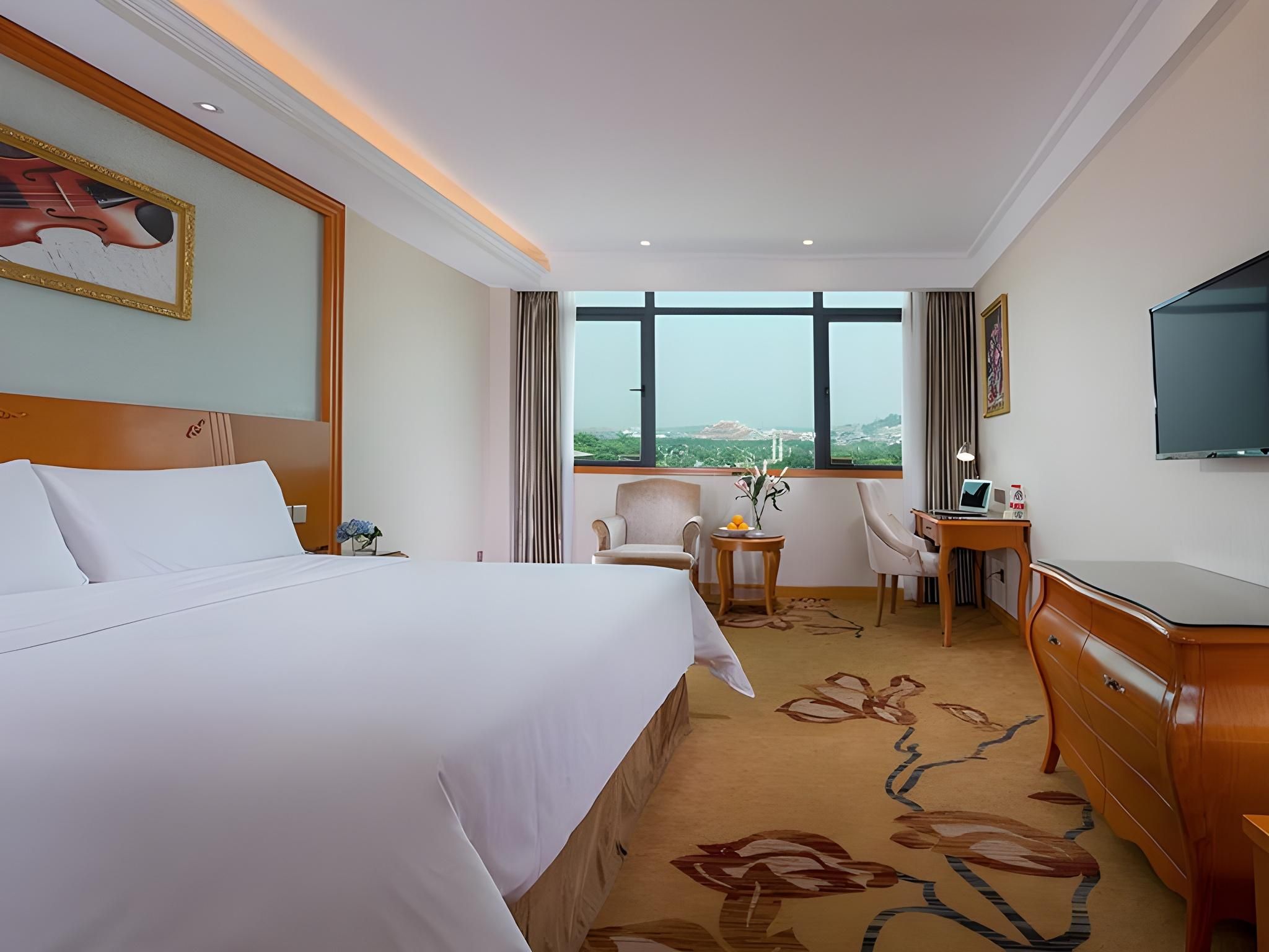 Vienna - Executive 1 Bed Room