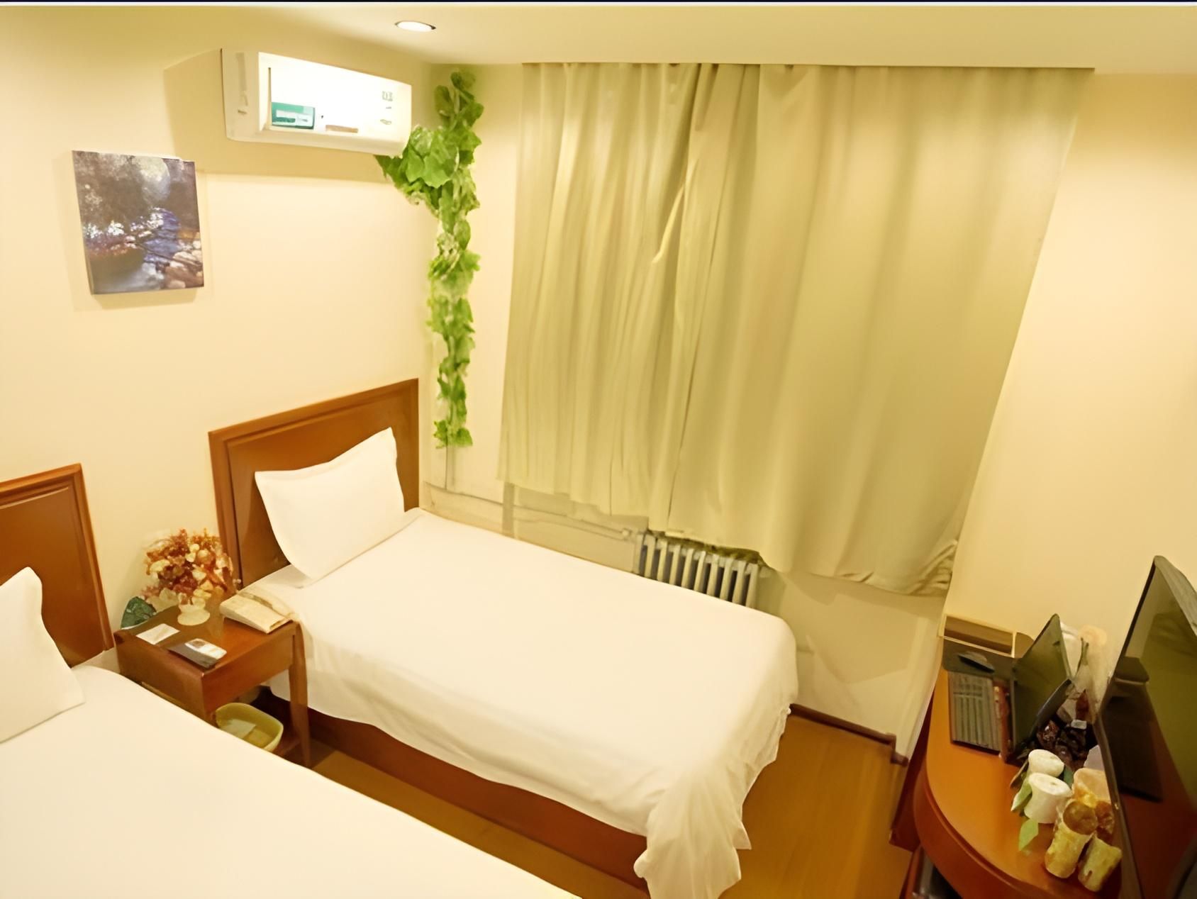 Guest Twin Room