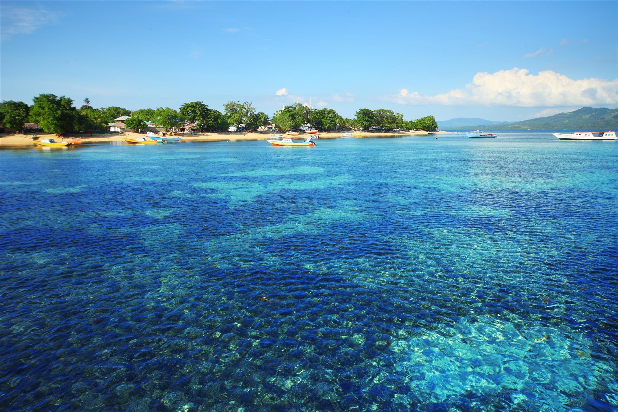 Tiger fish homestay