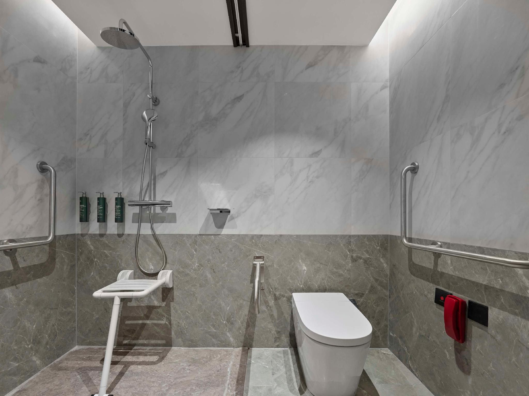 King Accessible Room