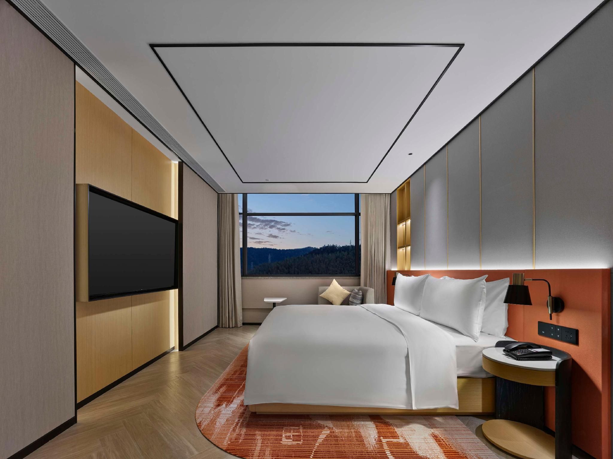 King Deluxe Suite