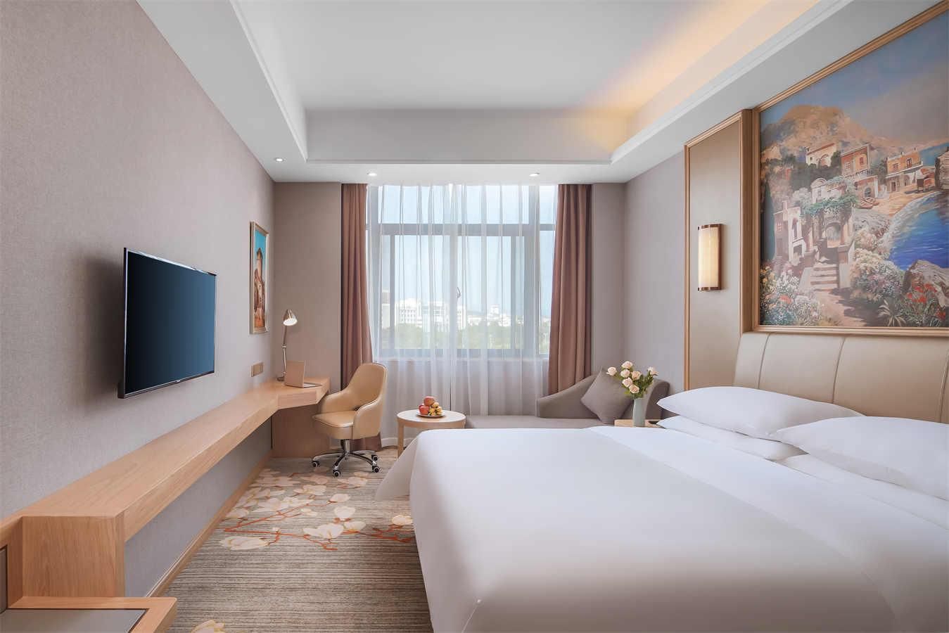 Vienna - Deluxe Room