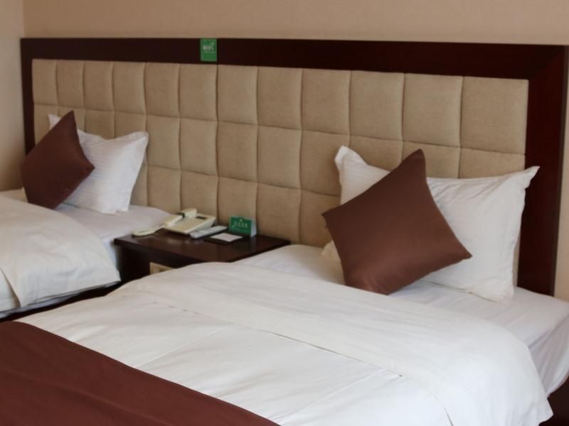GreenTree Alliance Hotel Henan Luoyang Ruyang County Longsheng Road Guest Twin Room 3