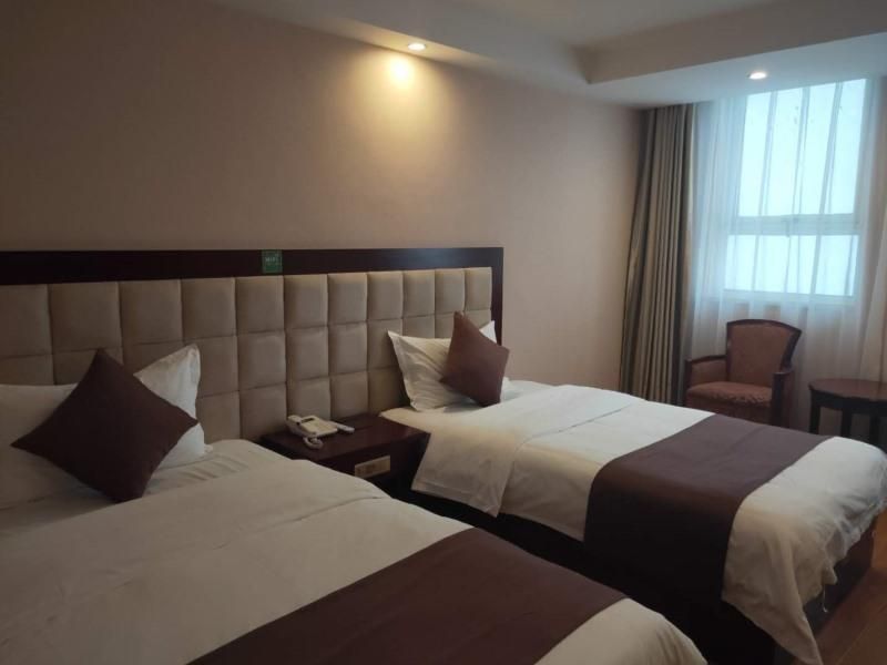 GreenTree Alliance Hotel Henan Luoyang Ruyang County Longsheng Road Guest Twin Room