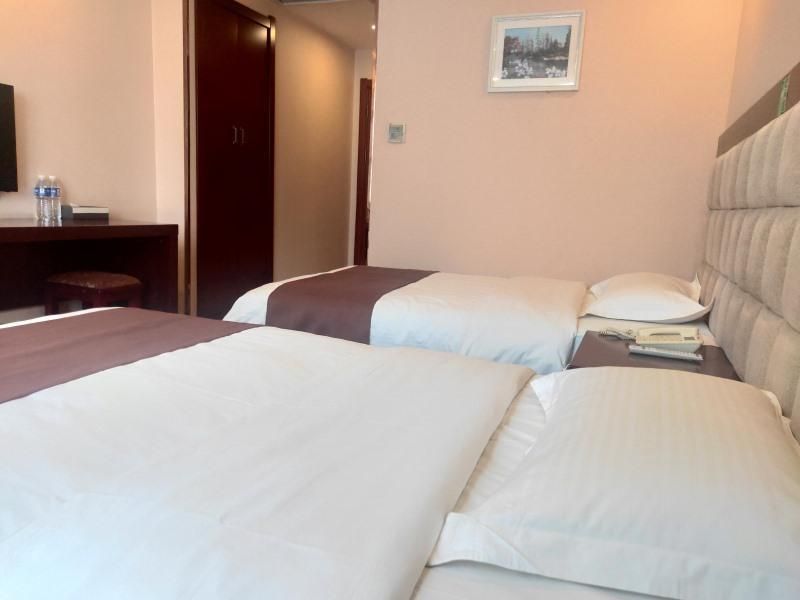 GreenTree Alliance Hotel Henan Luoyang Ruyang County Longsheng Road Guest Twin Room 2