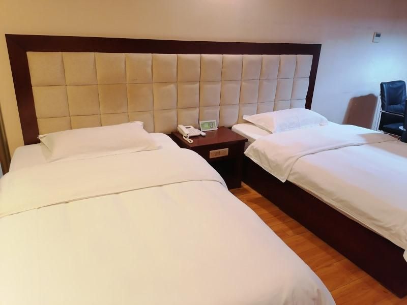 GreenTree Alliance Hotel Henan Luoyang Ruyang County Longsheng Road GTI - Feature Twin Bed Room, Chess 3