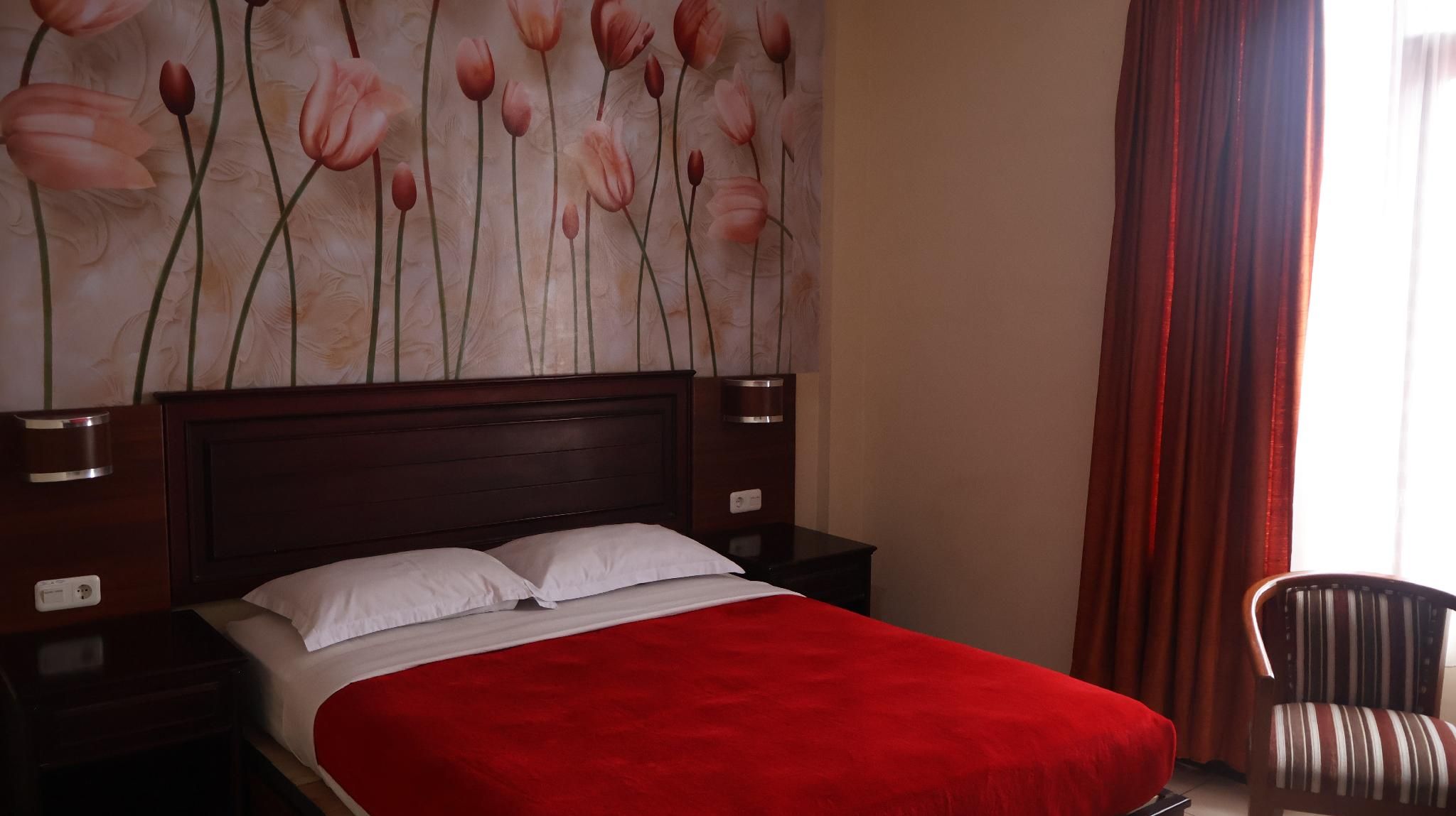 Nikita Hotel Standard Room 3