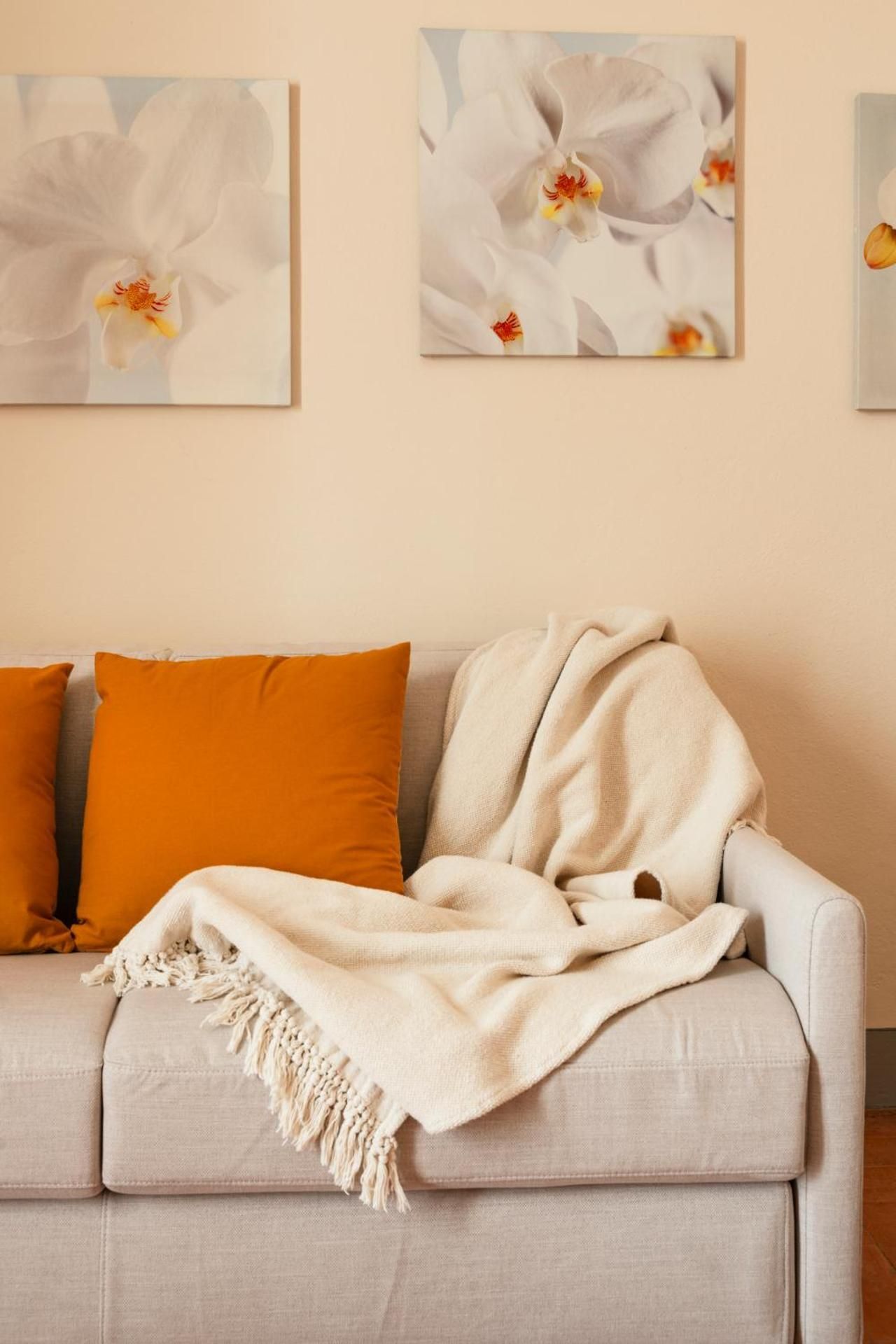 Studio with Sofa Bed