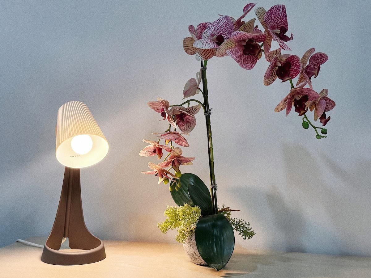 1d9592fef4402ede855162cad980eeb6