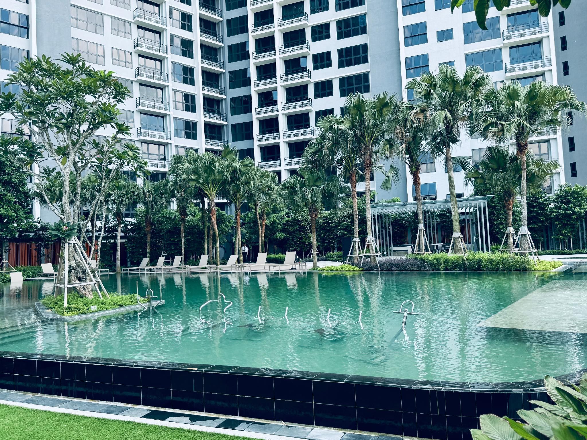 swimming pool [outdoor]