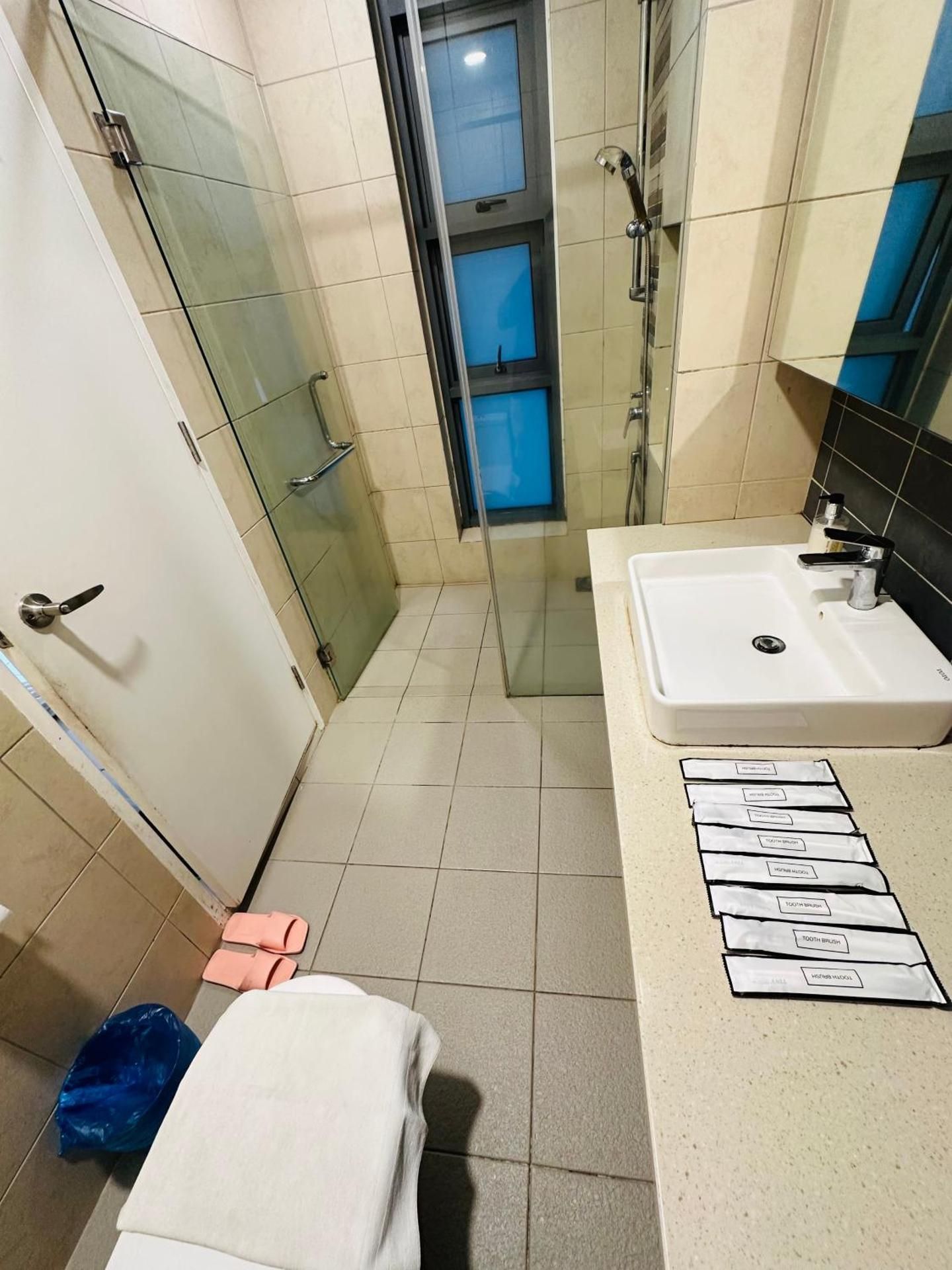 Deluxe One-Bedroom Apartment with City View