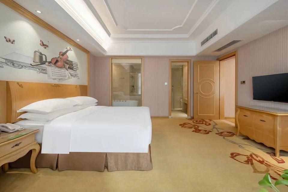 Vienna - Functional Chess Suite Room
